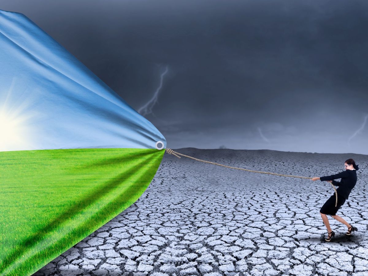 A Catalyst for&nbsp;Change